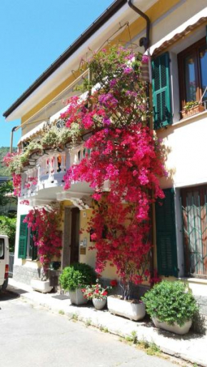 La Maison Des Bouganvilles